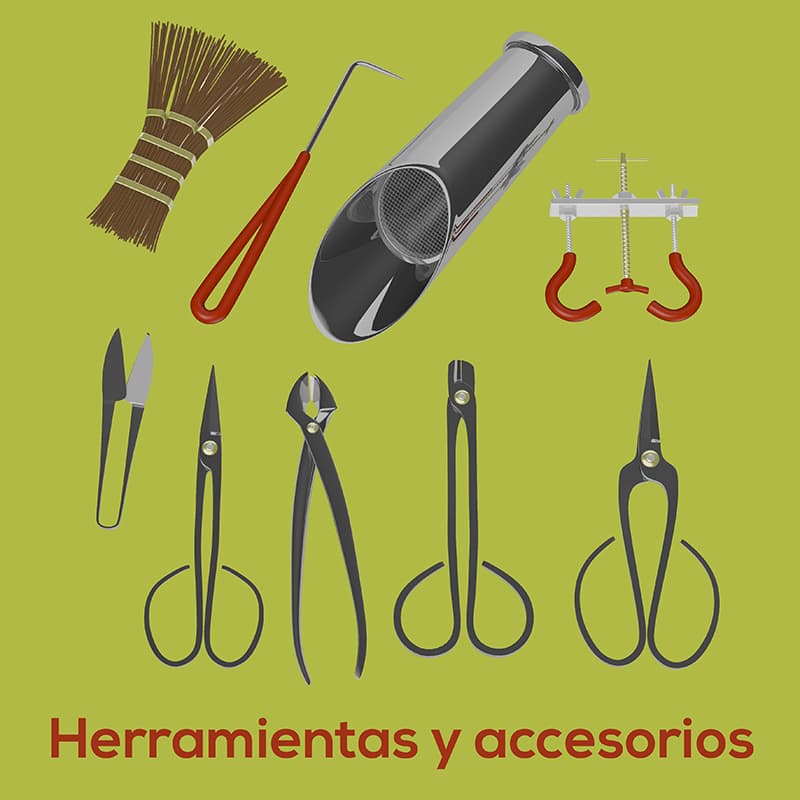 Herramientas y accesorios